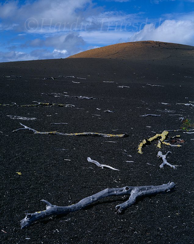  HI#002 "Devastation Trail, Volcanoes National Park, HI" 