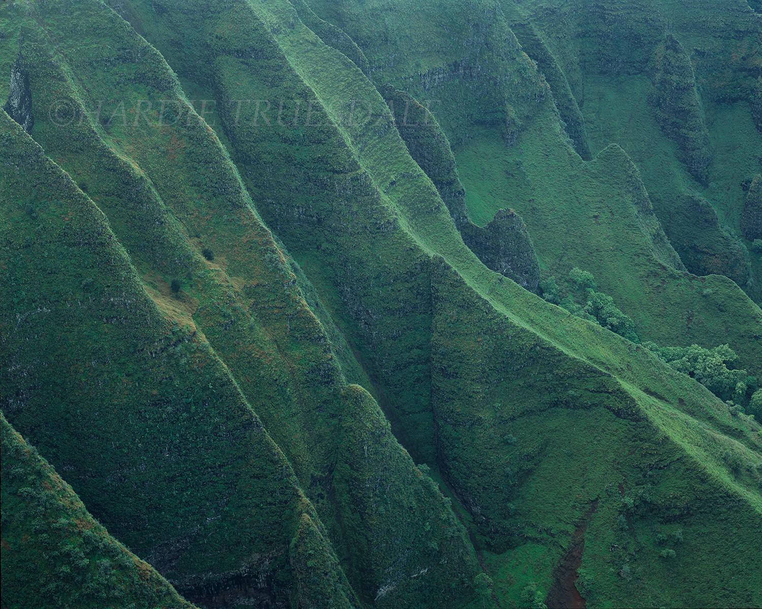  HI#027 " The Green Cliffs of Nuololo, Kokee State Park, Kauai, HI"  