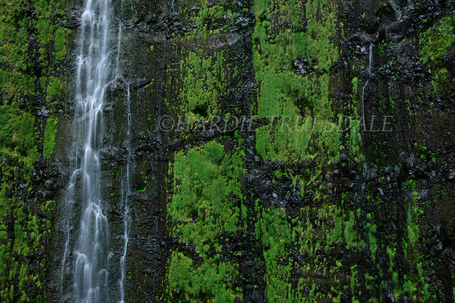  HI#053 " Waimoka Falls Detail, Haleakala National Park, Maui, HI"  