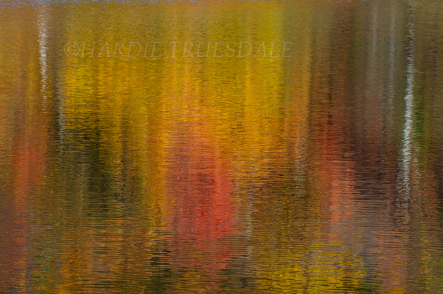  Gks#842 "Fall Reflections, Duck Pond, Mohonk Preserve" 