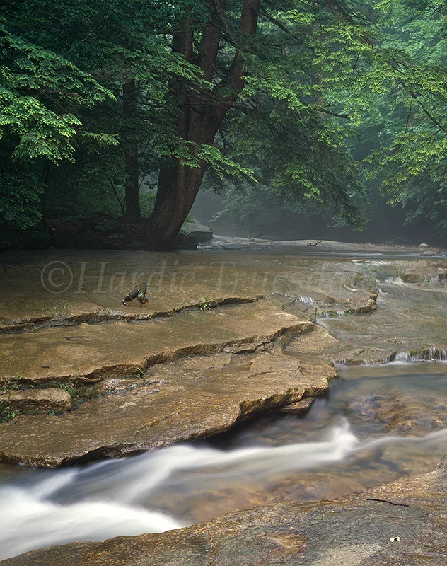Gks#091 "Coxingkill, Mohonk Preserve, NY"