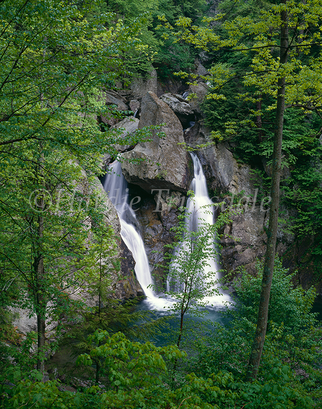  MA#010 "Bash Bish Falls, Mt Washington State Forest" 