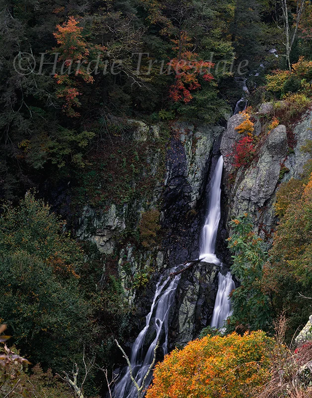 VA#043 "South River Falls, Shenendoah National Park, VA"