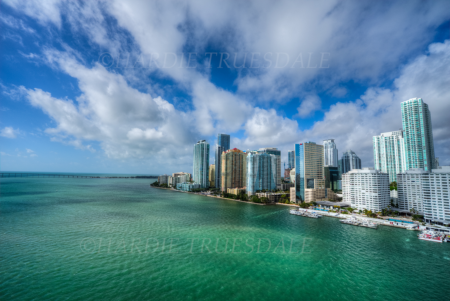 FL#5 "Miami Skyline"