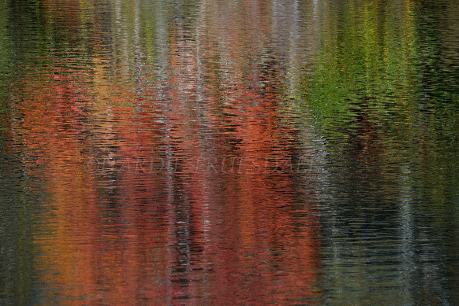 CC#151 "Touch of Red" Meadow Bog Pond, Cape Cod
