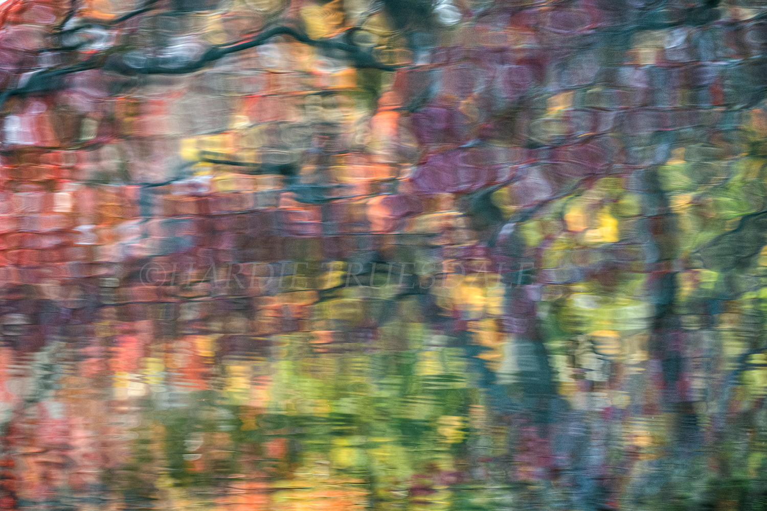 CC#149 "Monet Fall",Stony Brook, Cape Cod