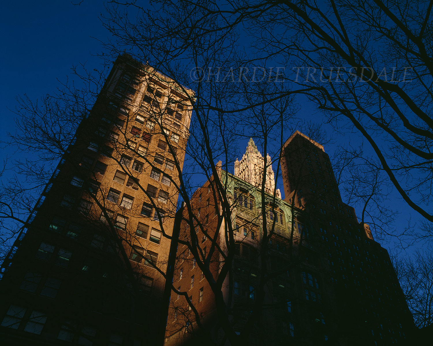 NYC#14 "Woolworth Building from Union Square"
