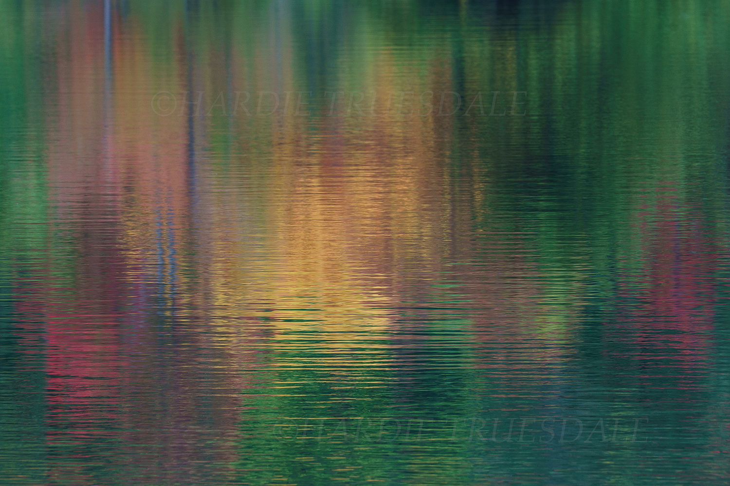 Cos#308 "Monet's Fall, North Lake"
