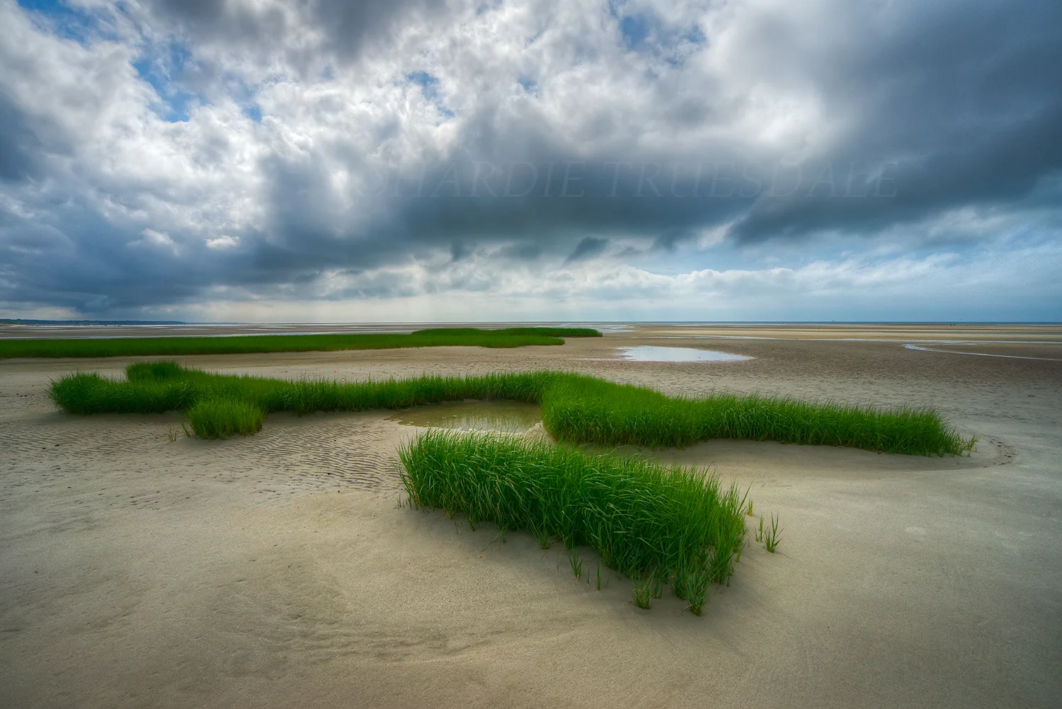 CC#165 "Marsh Grass, Flowers Beach"