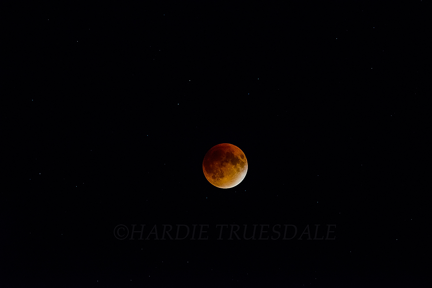 CC#140 " 2015 Lunar Eclipse, Cape Cod"