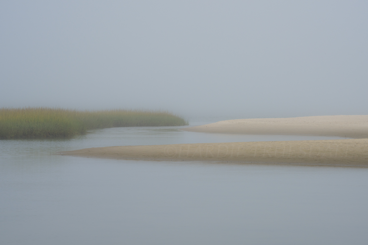 CC#139 "Foggy Day, Nauset Marsh"