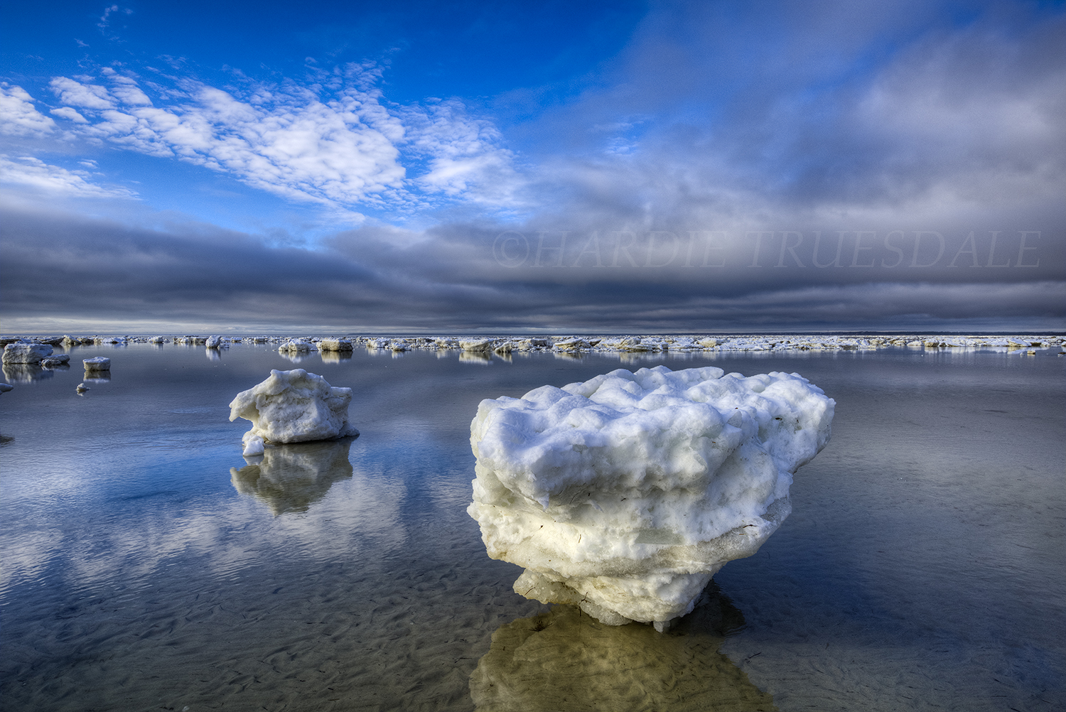 CC#117 "Ice Floes, Flowers Beach"