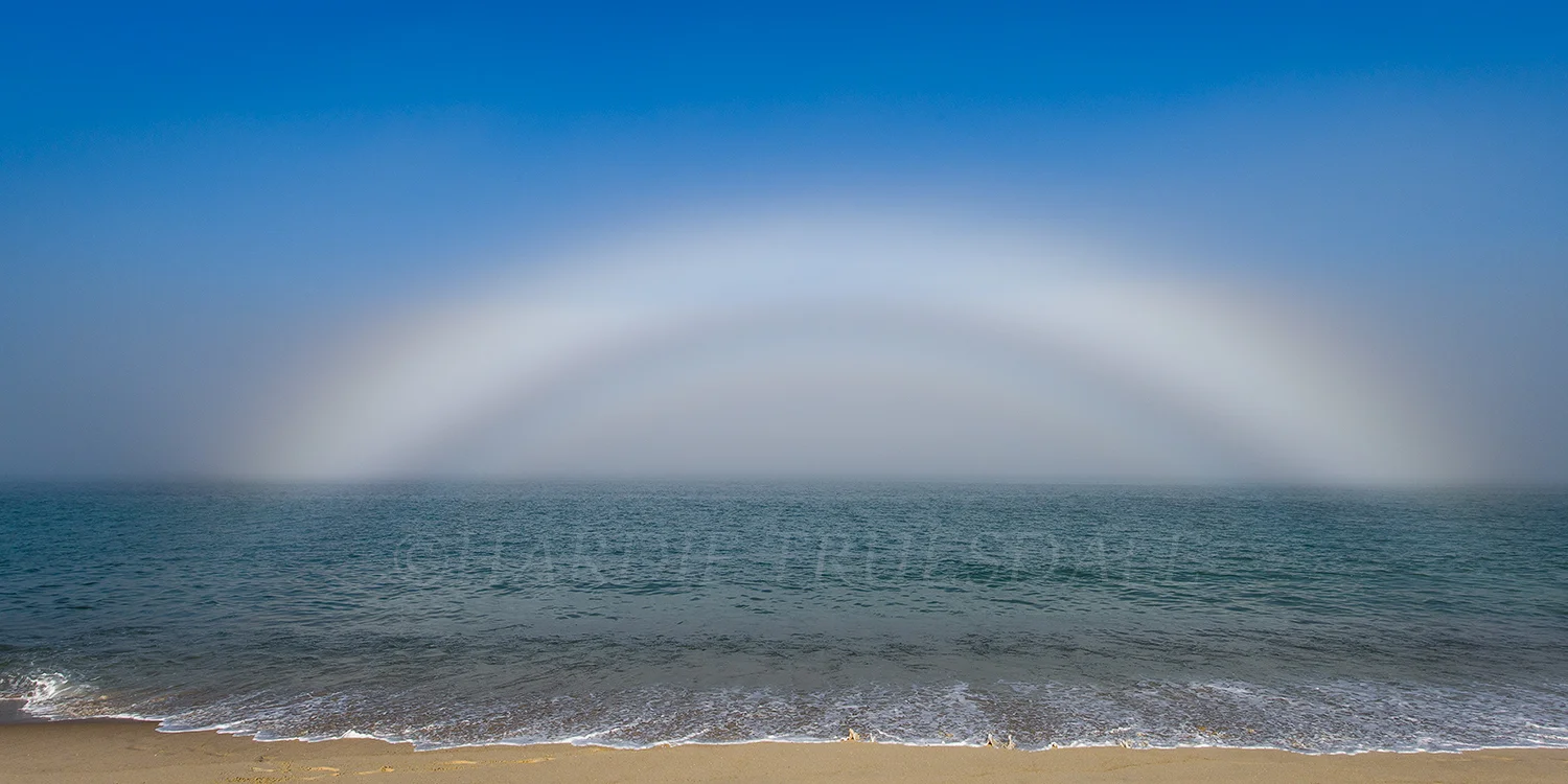 CC#138 "Fogbow", Nauset Beach