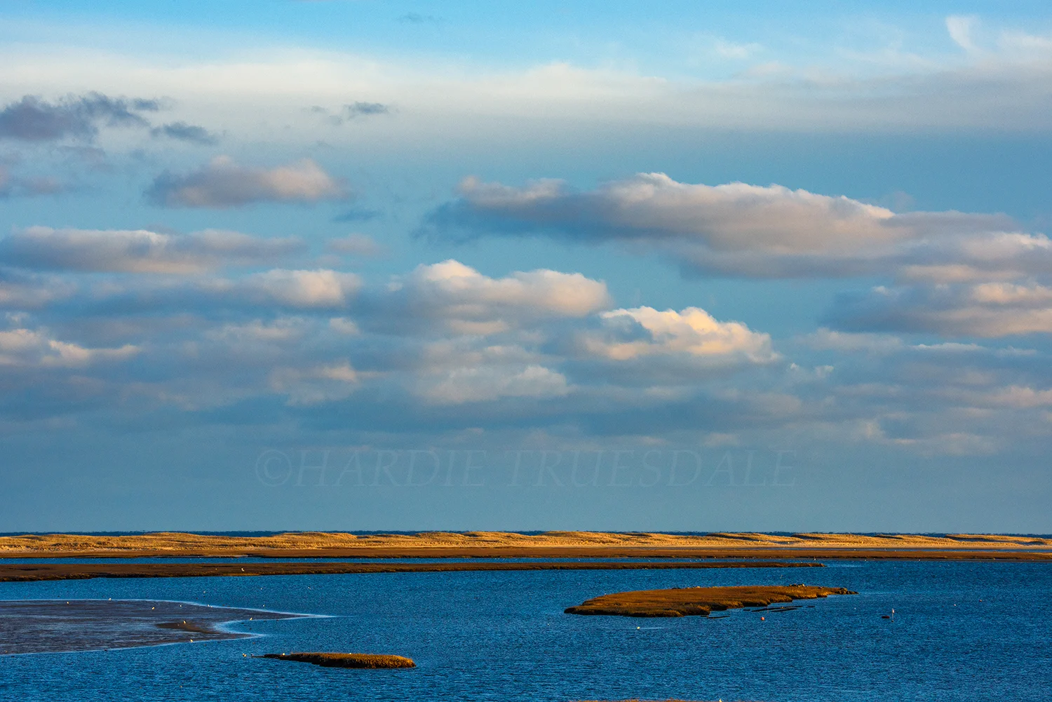 CC#107 "Nauset Marsh and Dunes, Fort Hill Views"