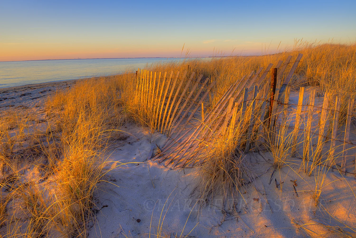 CC#106 "Weathered Dune Fence, Fischer Beach, Cape Cod"