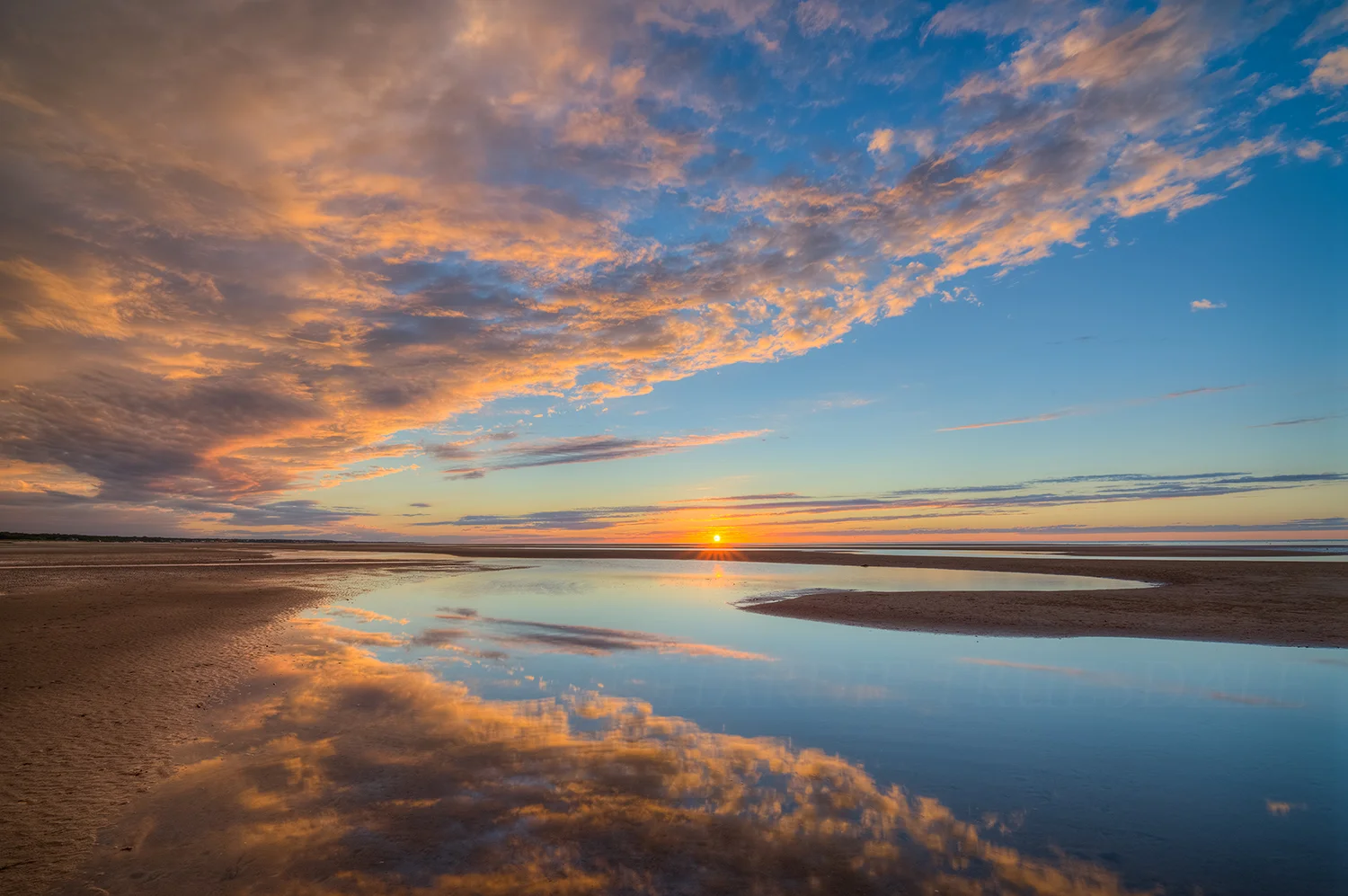 CC#51 "Flowers Beach Sunset"