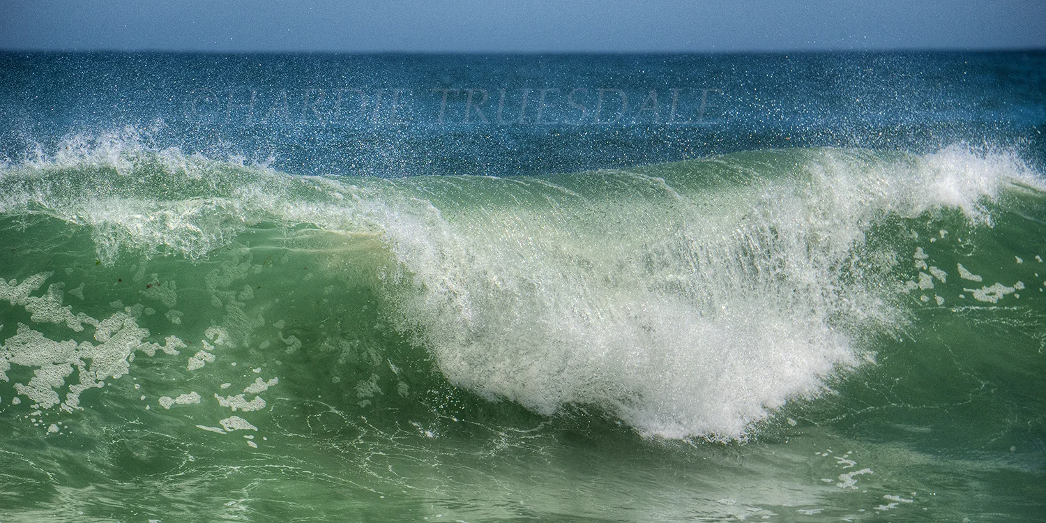 CC#75 "Curling Wave, Nauset Beach"