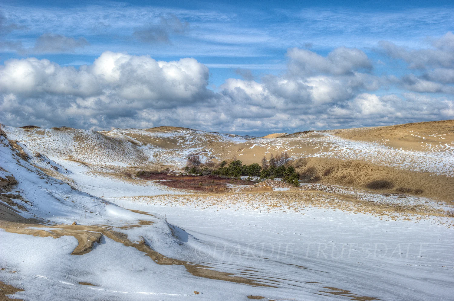 CC#14 "Snow Dusted Dunes, Provincelands"