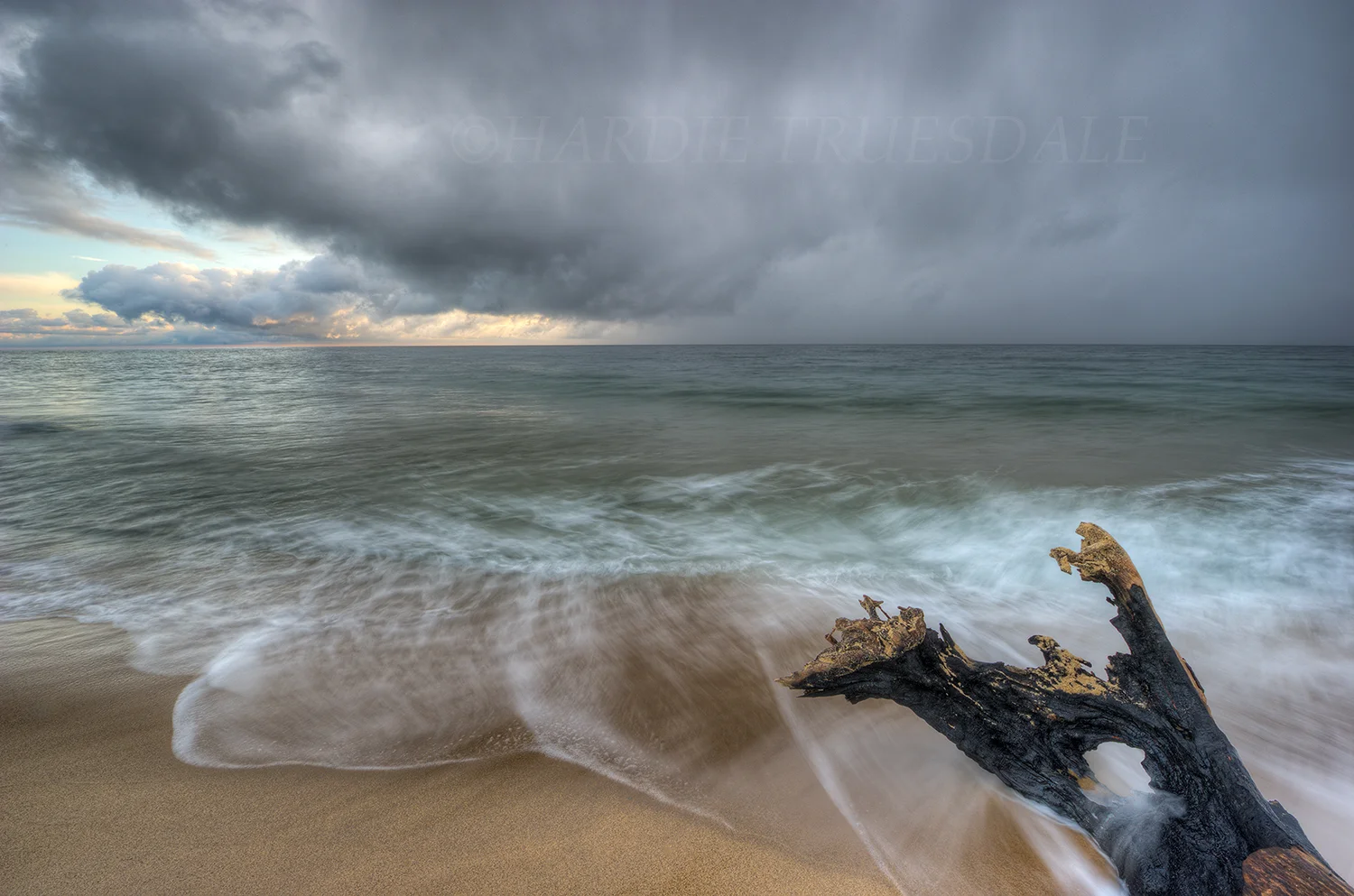 CC#13 "Burnt Driftwood, Herring Cove"