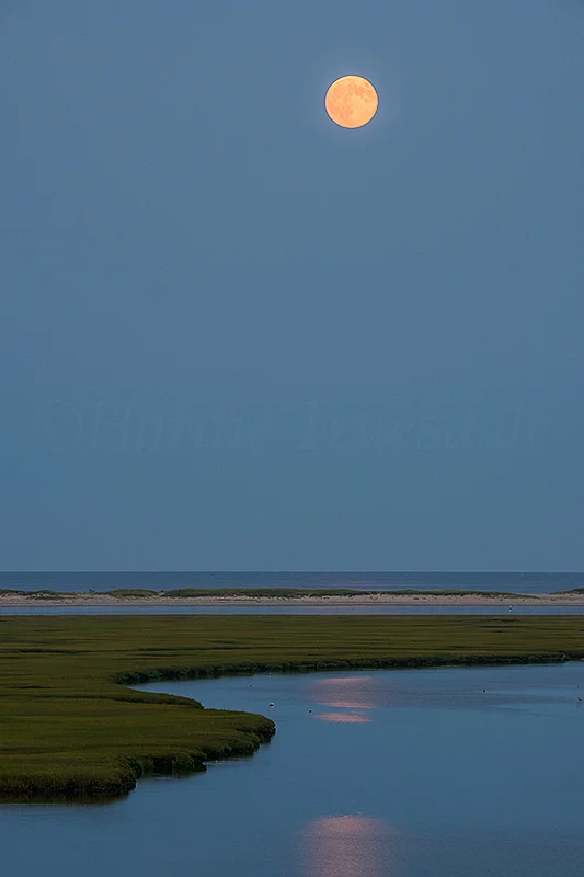 CC#91 "Super Moon, Nauset Harbor"