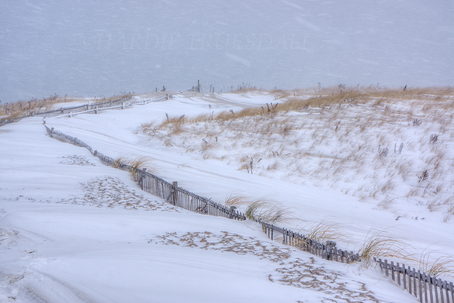 CC#59 "Winter Storm, Nauset Beach"