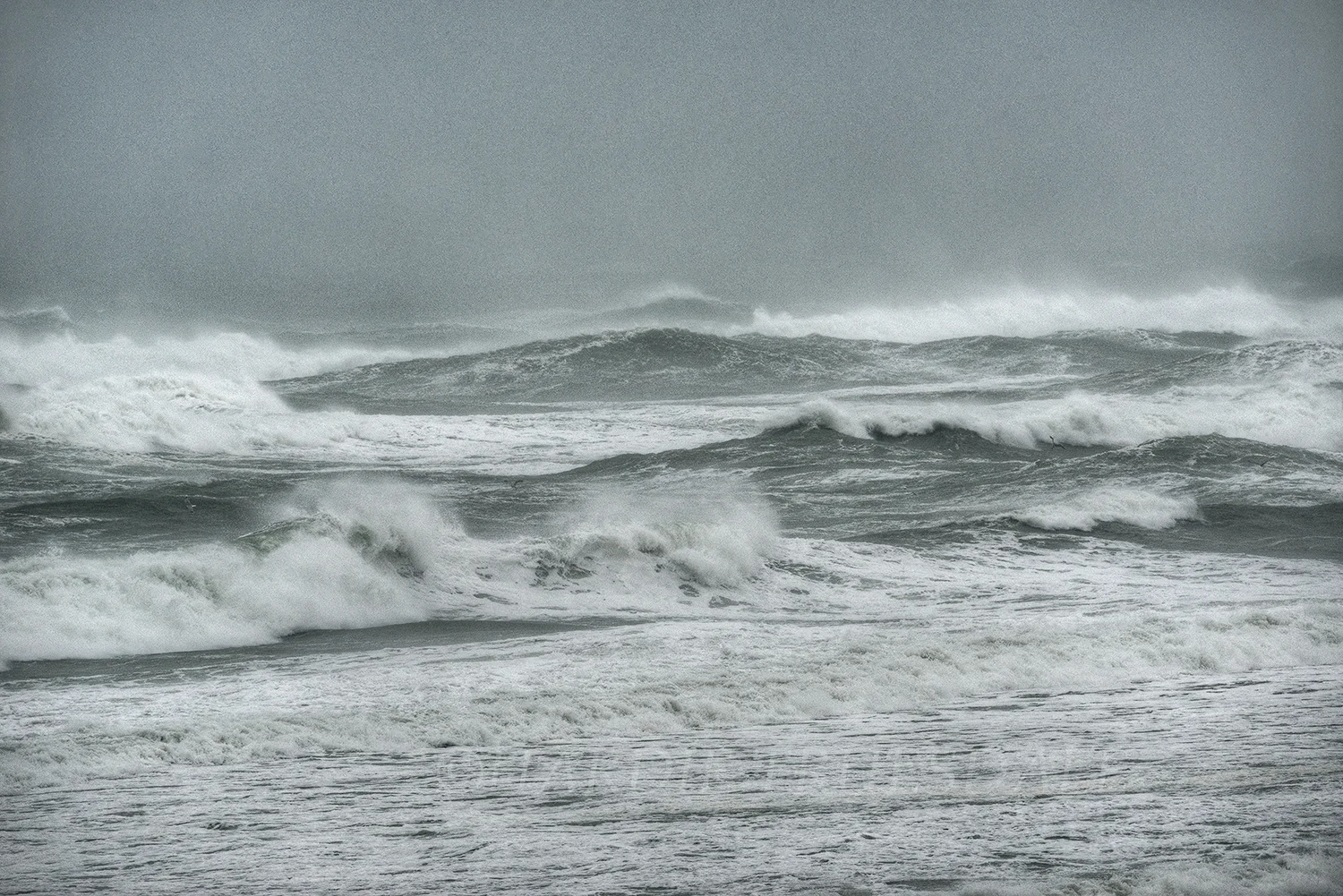 CC#98 "Noreaster, Coast Guard Beach"