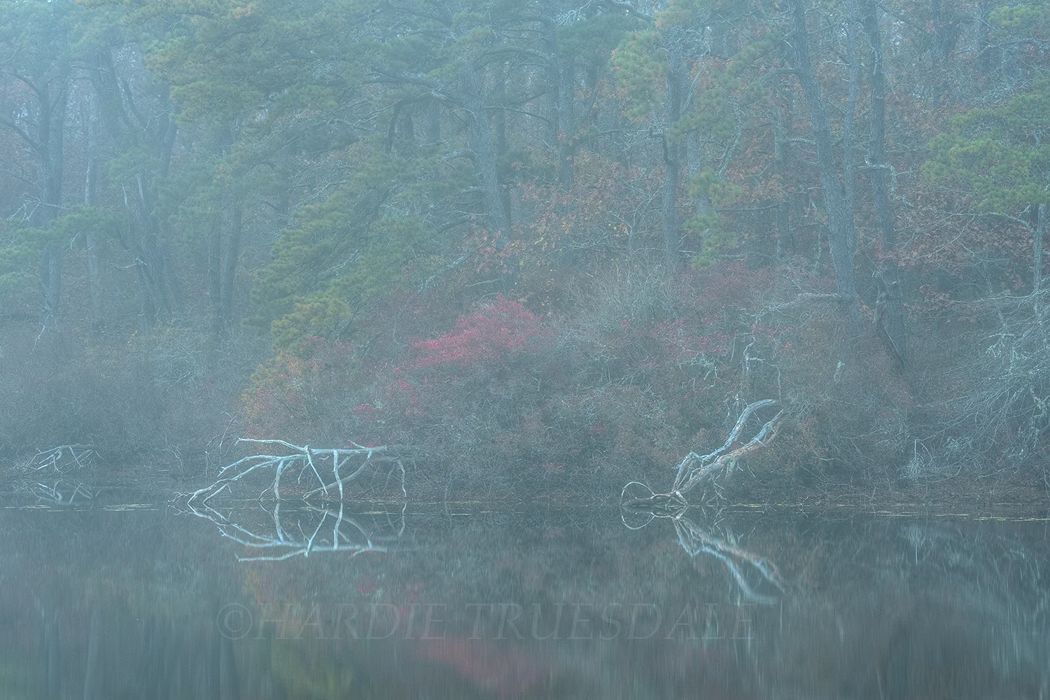 CC#99 "Fall Mist, Keeler's Pond"