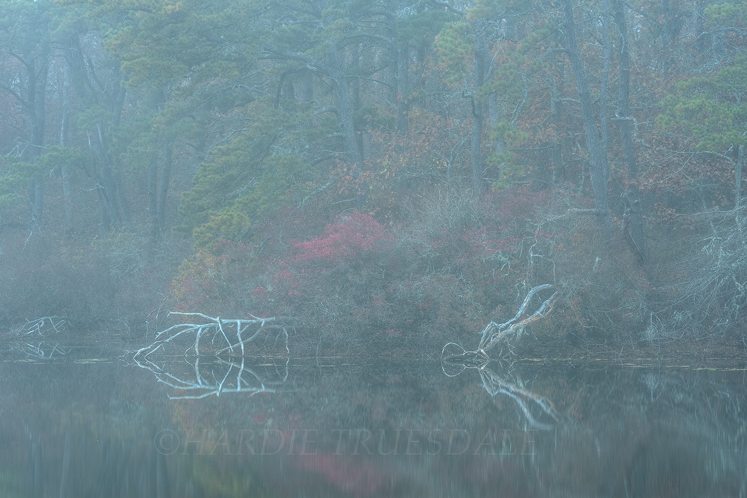CC#99 "Fall Mist, Keeler's Pond"