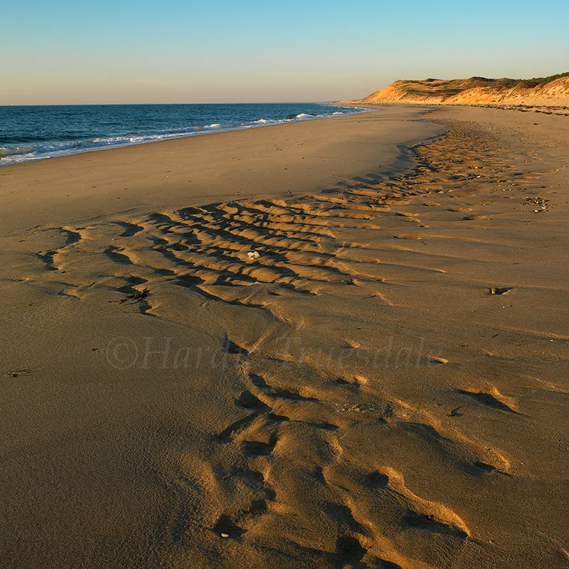 MA#058 "Wind Blown Sand, Great Island, Cape Cod National Seashore, MA"