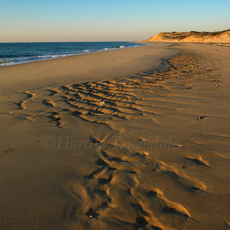 MA#058 "Wind Blown Sand, Great Island, Cape Cod National Seashore, MA"