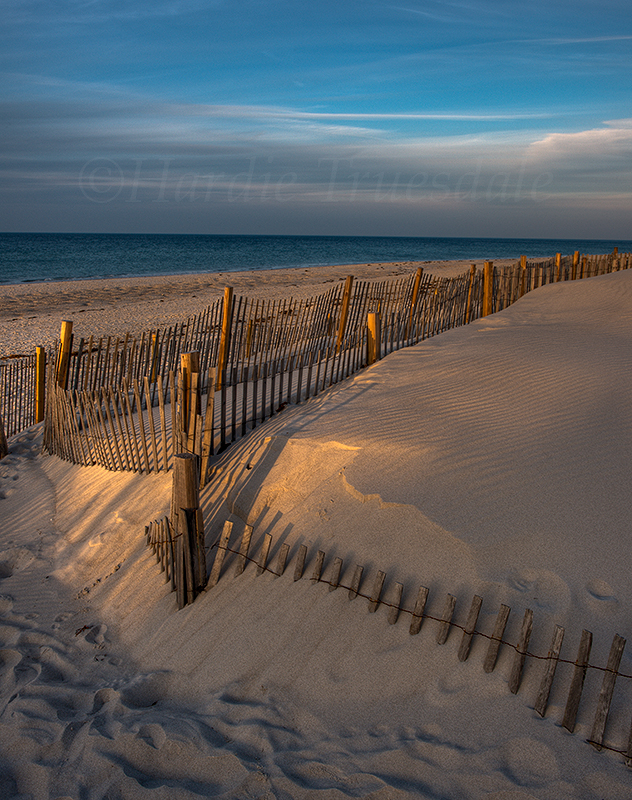 MA#081 "Dune Fence, Mayflower Beach, Cape Cod, MA"