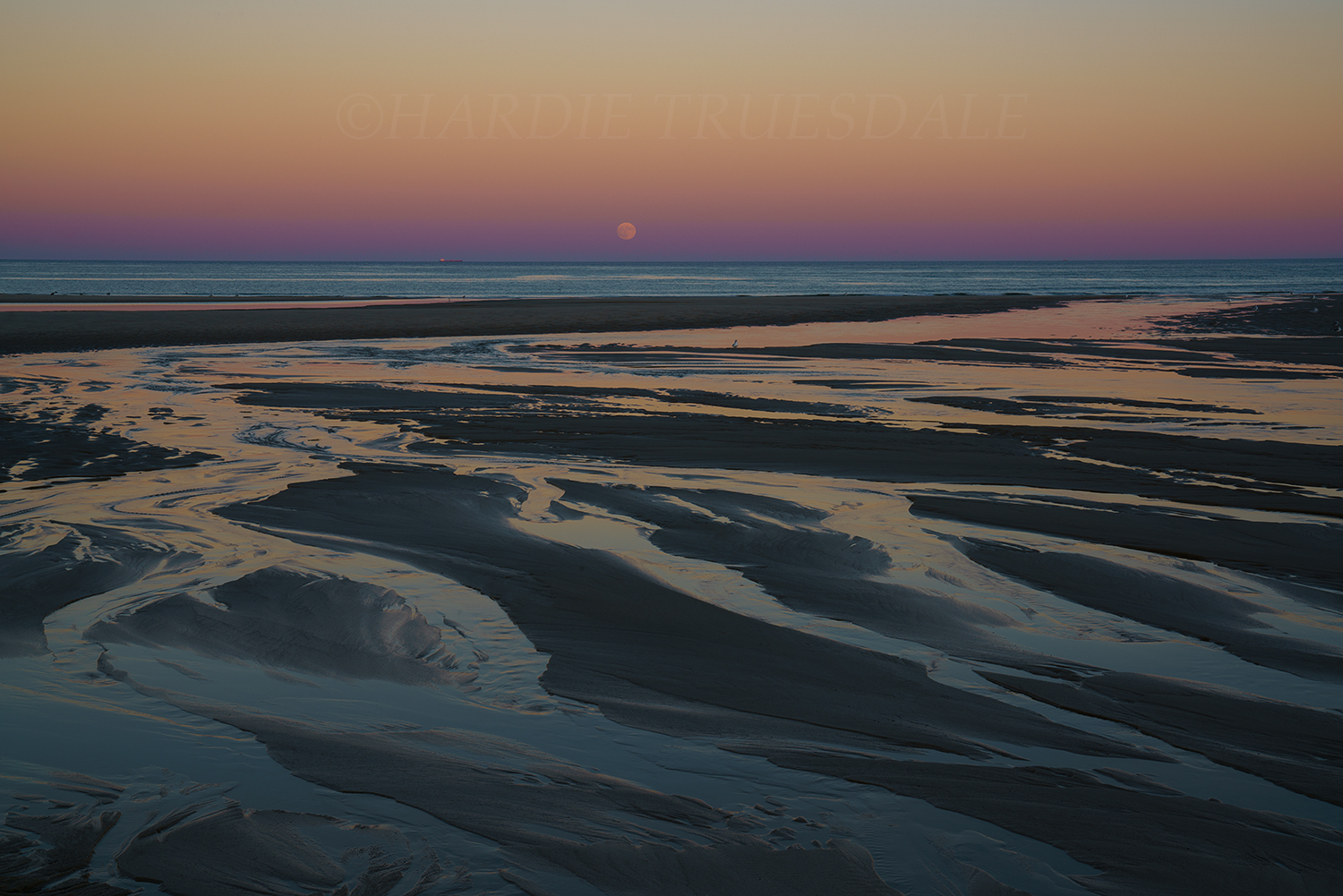 CC#172 "Super Moon Rise", Cape Cod National Seashore
