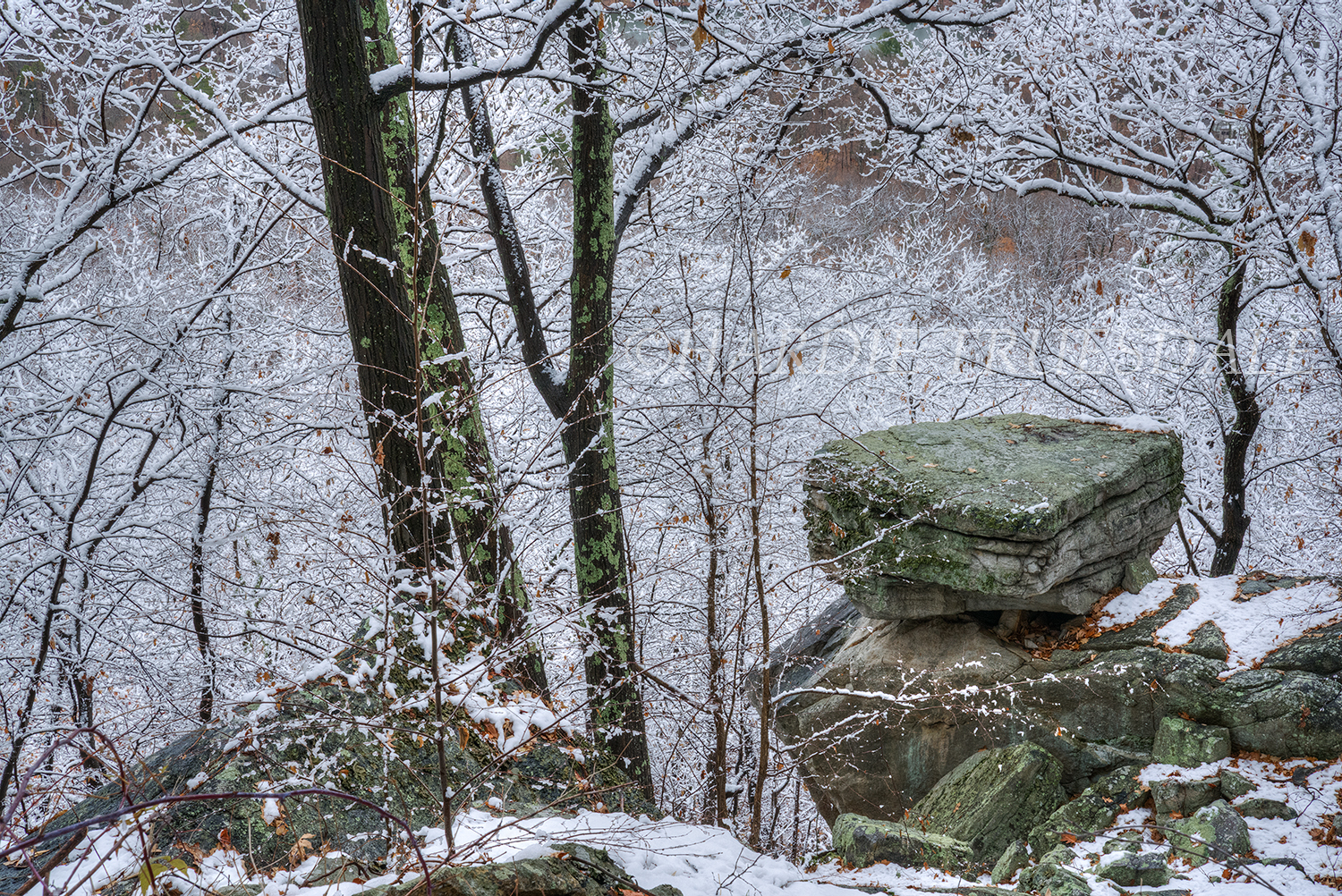 Gas#902 "Delicate Snowfall, Lunch Table Rock"