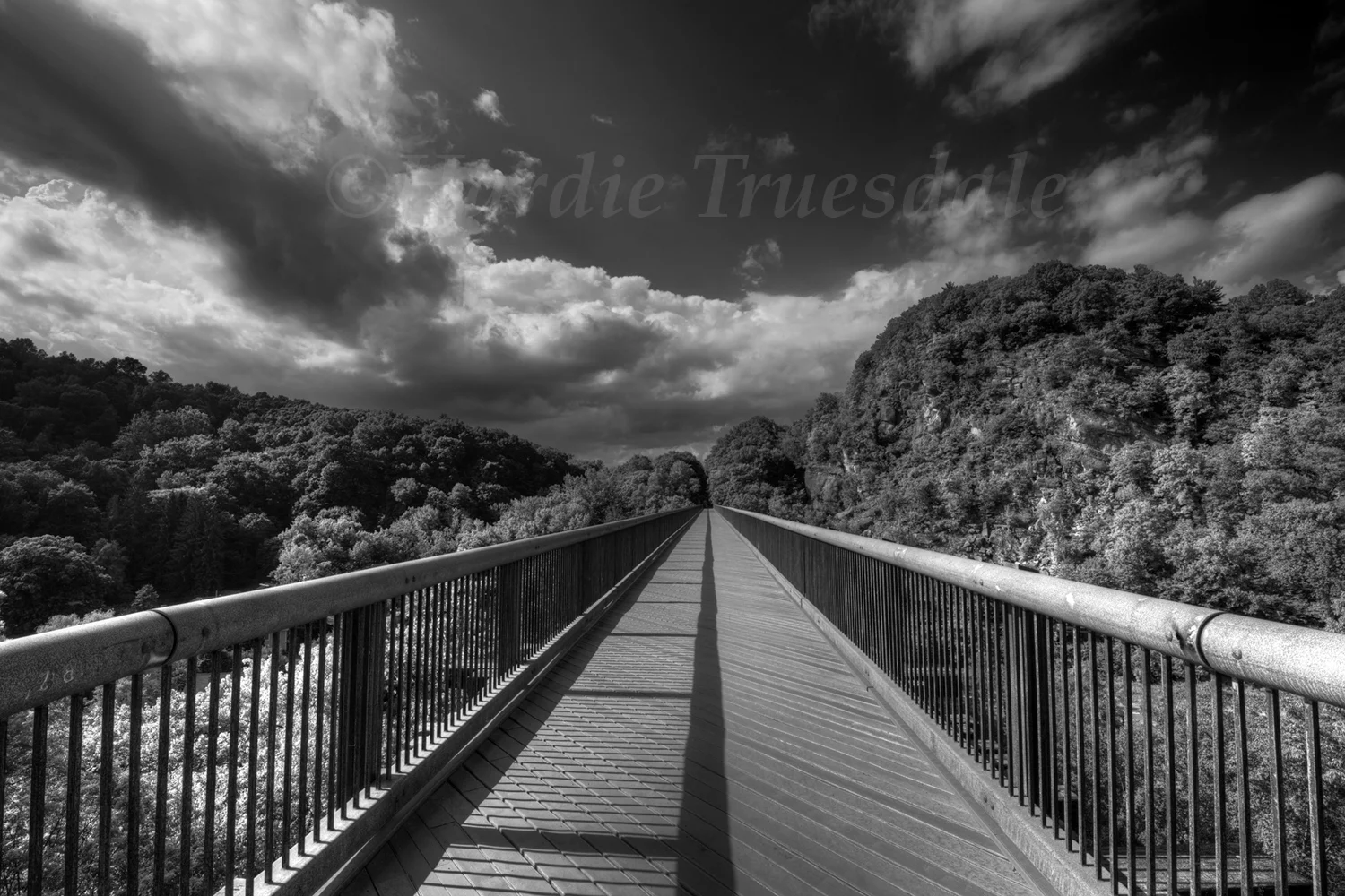 Cks 300 "Rosendale Rail Trail Bridge"