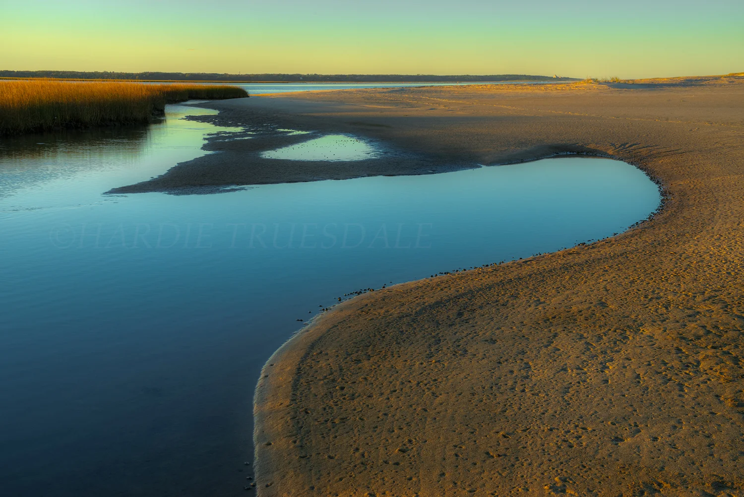 CC#194 "Evening Curves, Nauset Marsh"