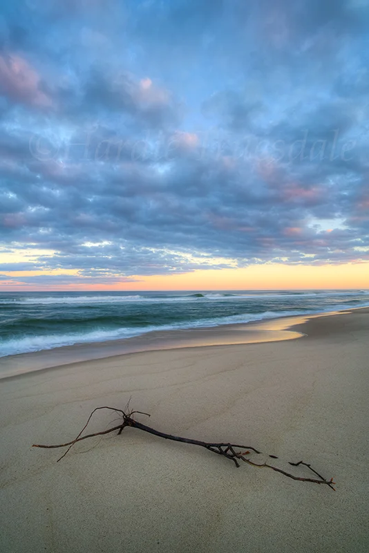 CC#178 "Dusk, Nauset Beach"