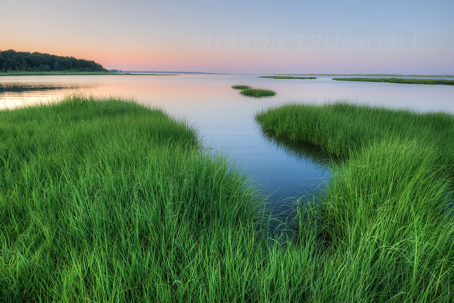 CC#129 "Marsh Grass Dusk, Nauset Marsh"