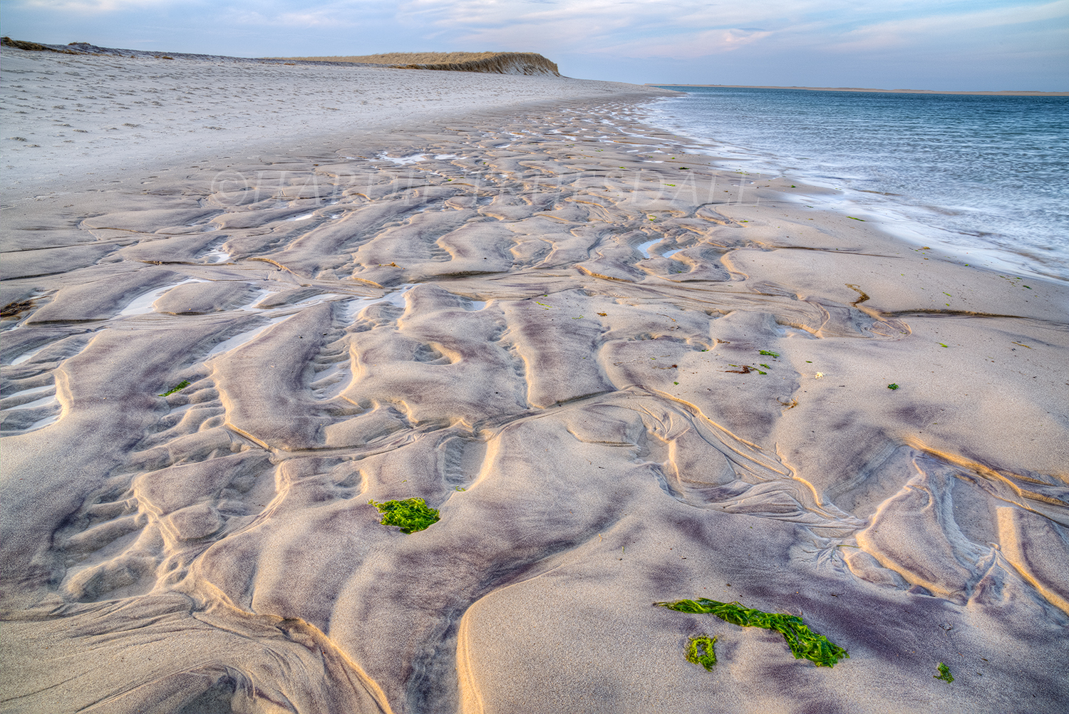 CC#201 "Sand, Clay, & Seaweed, South Beach"