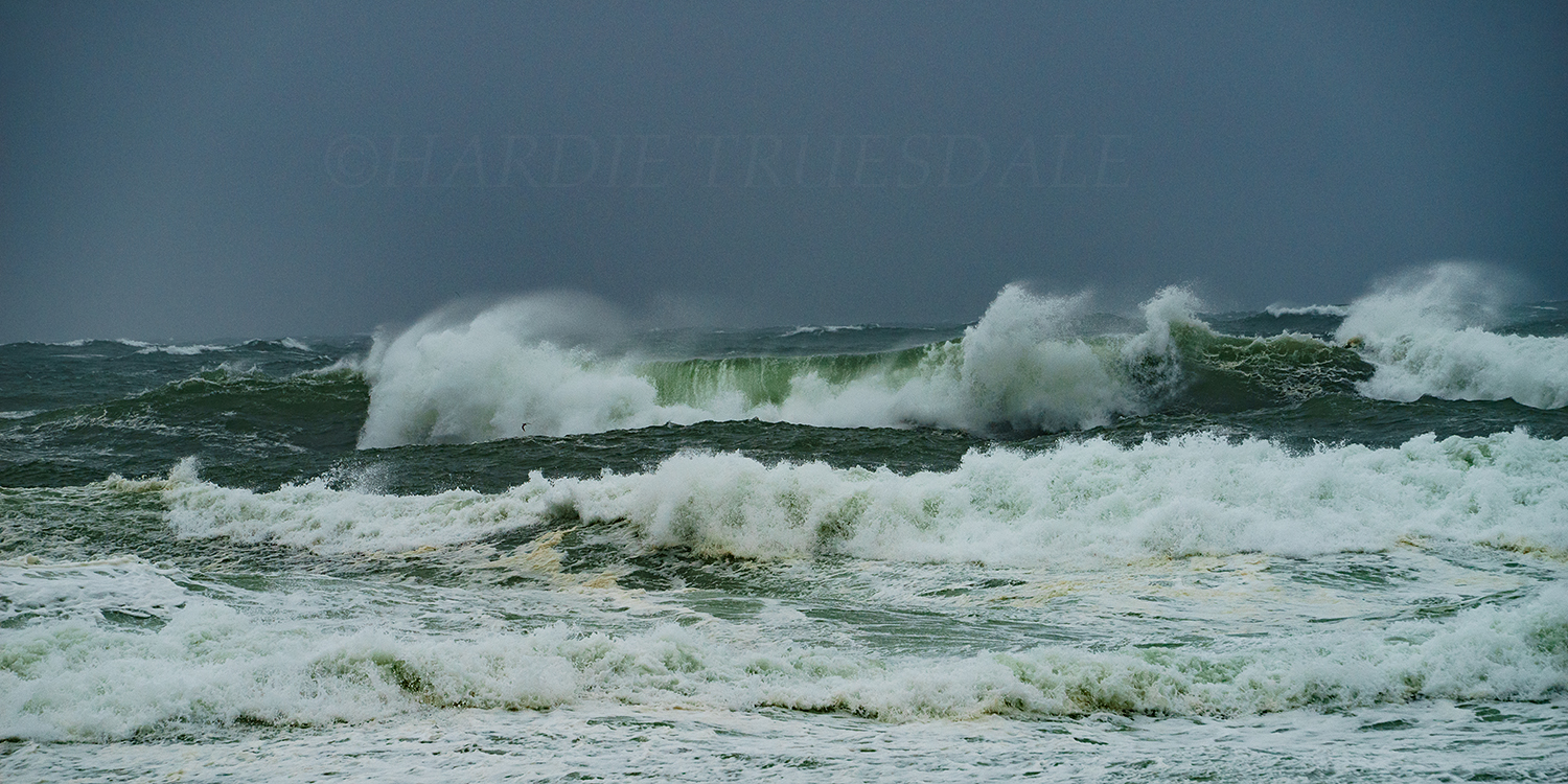 CC#206 "Wave Study 3" Tropical Storm Jose, Cape Cod