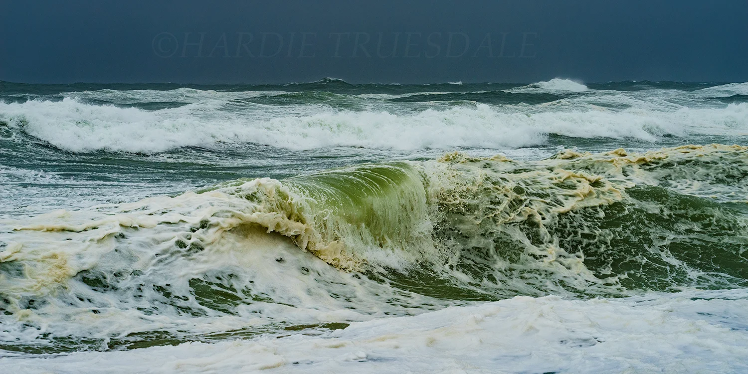 CC#207 "Wave Study 4" Tropical Storm Jose, Cape Cod