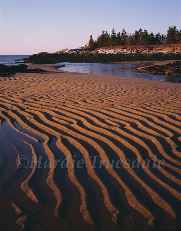 ME#17 "Low Tide Dawn, Reid State Park"