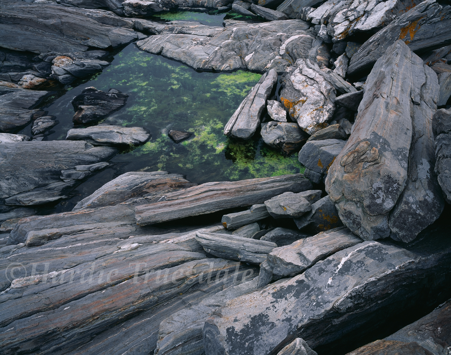 ME#25 "Tidal Pool, Damariscotta River"