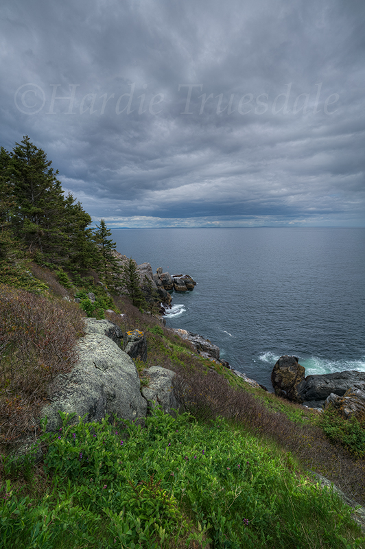 ME#73 "Monhegan Island Cliff Trail"