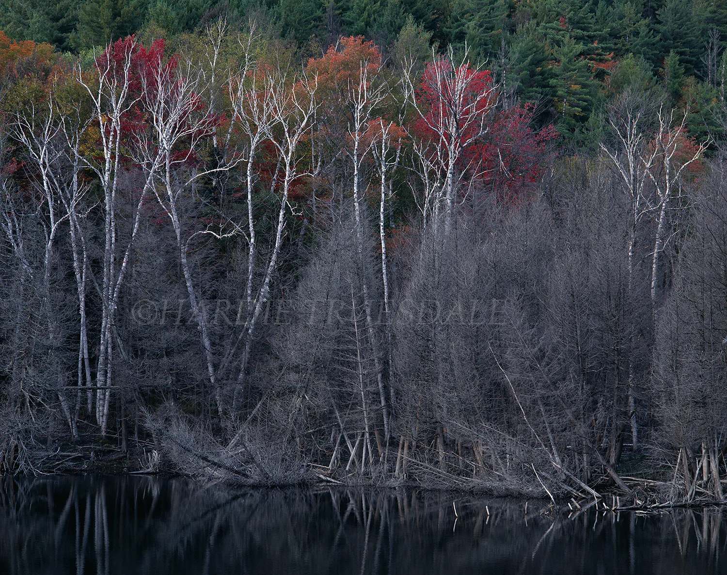 Adk#25 "Fall Pond"