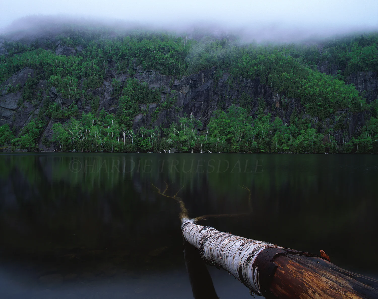 Adk#89 "Fallen Birch, Chapel Pond"