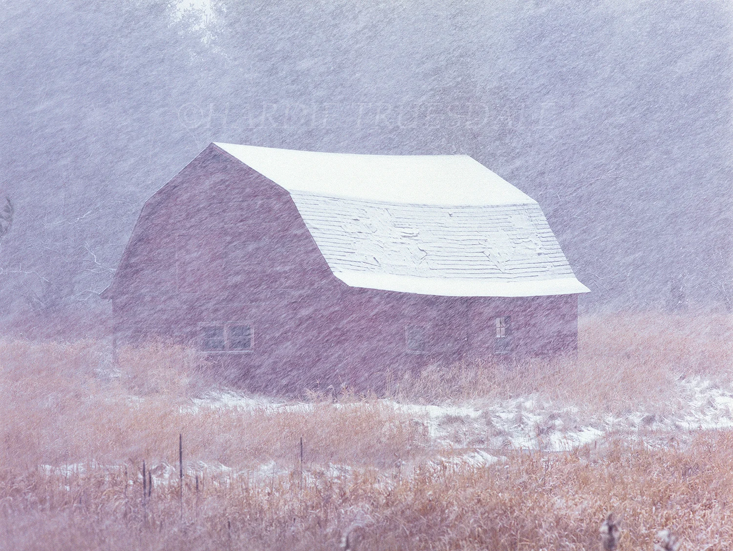 Adk#115 "Red Barn Blizzard"