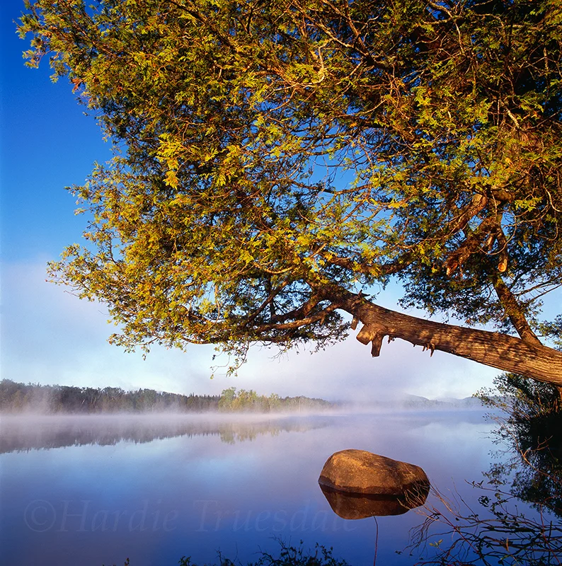 Adk#135 "Morning Mist, Harris Lake"