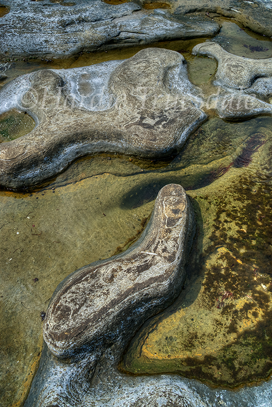 MX#8 "Weathered Rock and Tidal Pools"