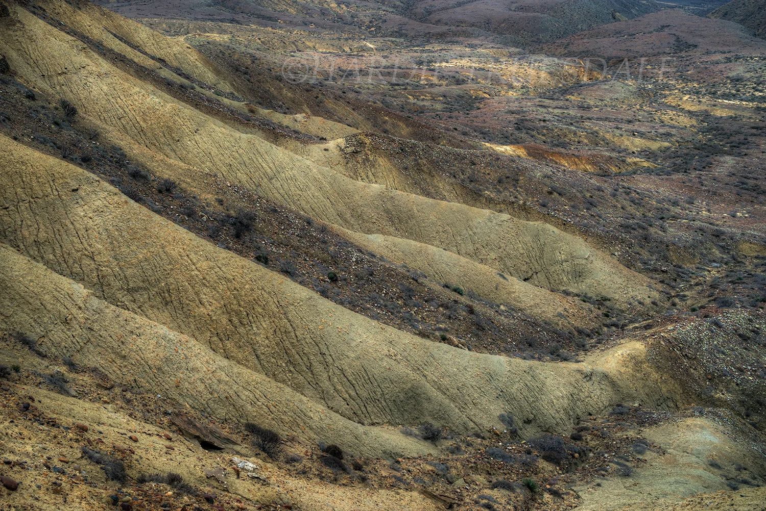 MX#22 "Eroded Hills, Badlands"