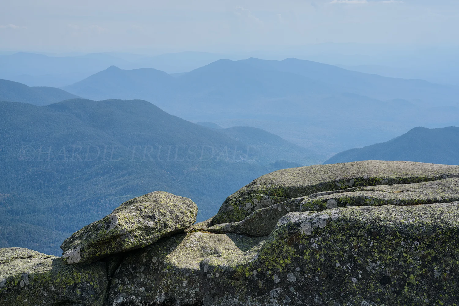 Adk#183 "Summit Ledges, Algonquin"